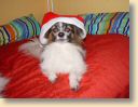 DSC01768.jpg