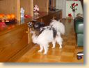 DSC01771.jpg