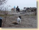DSC01812.jpg