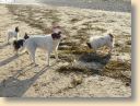 DSC01819.jpg