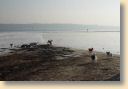 DSC01823.jpg