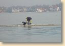 DSC01839.jpg