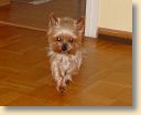 DSC01854.jpg