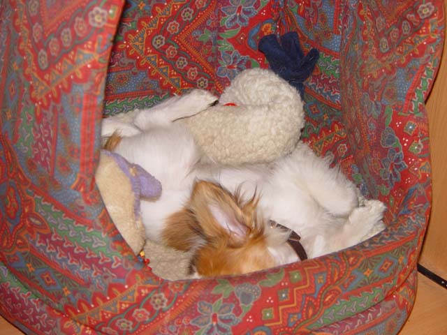 DSC02594.jpg