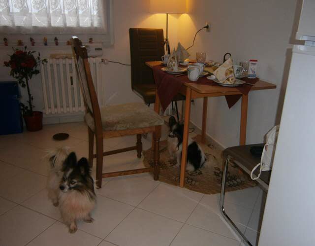 PC240018.jpg