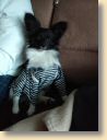 IMG_20190412_200734623.jpg