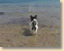 IMG-20190505-WA0006.jpg