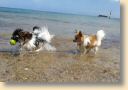 IMG-20190505-WA0017.jpg