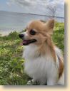 IMG-20190505-WA0057.jpg