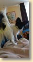 IMG-20190129-WA0007.jpg