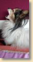IMG-20190215-WA0011.jpg