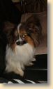 IMG-20190216-WA0005.jpg
