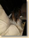 IMG_20190221_194802167.jpg