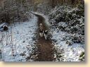 IMG_20190118_115044452.jpg