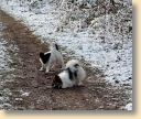 IMG_20190118_115101331_HDR.jpg