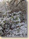 IMG_20190118_115135852_HDR.jpg