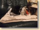 IMG_20190121_215326977.jpg
