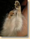 IMG_20190623_213451997.jpg