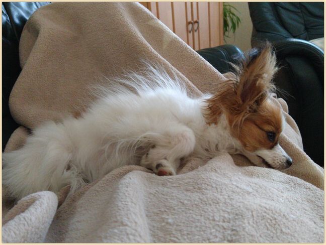 IMG_20210416_170130236.jpg