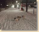 IMG_20210215_213751187.jpg