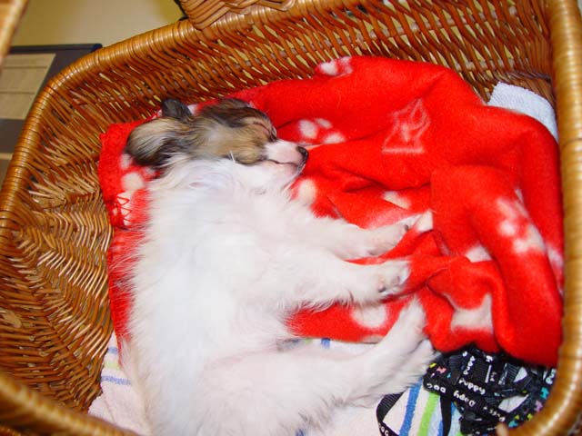 DSC02394.jpg