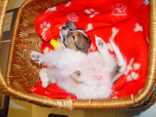 DSC02398.jpg