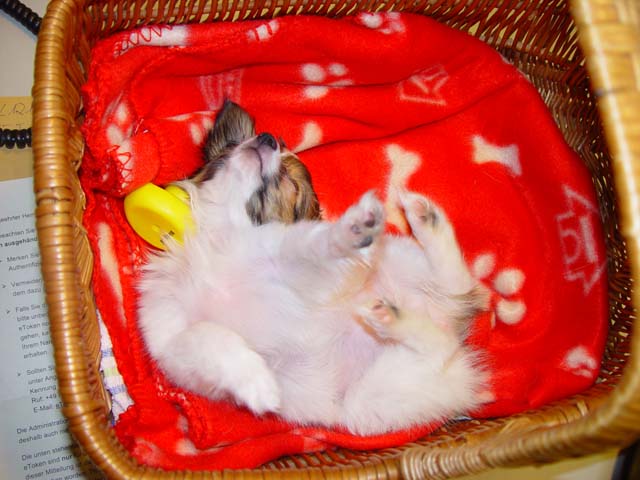 DSC02399.jpg
