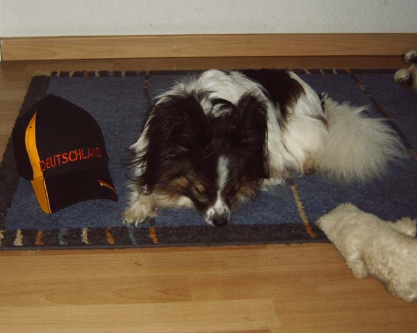 051.jpg
