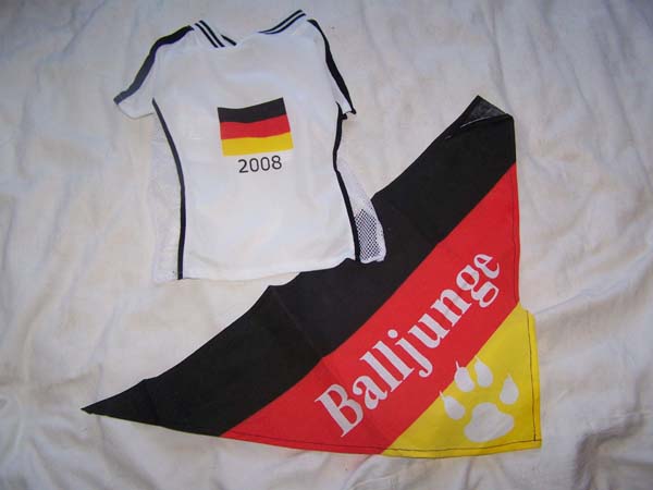 Trikot.jpg