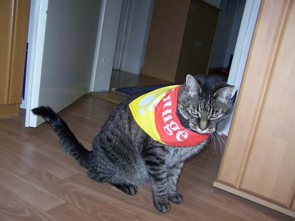 Trikot_008.jpg