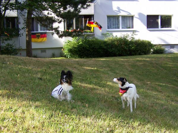 160608_004.jpg