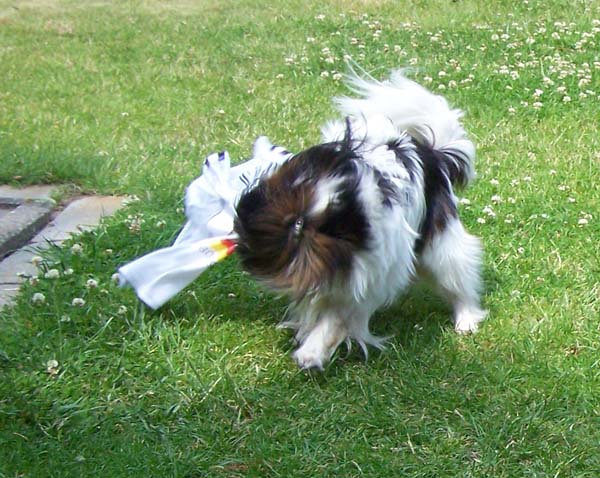 250608_009.jpg
