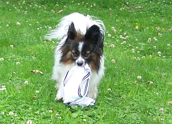 290608_003.jpg