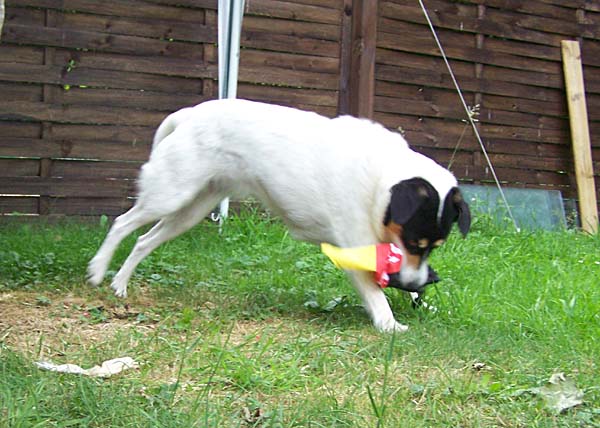 290608_012.jpg
