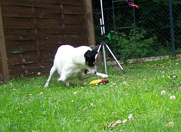 290608_013.jpg