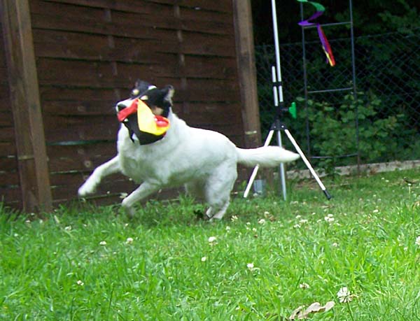 290608_014.jpg