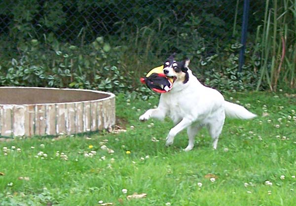 290608_015.jpg