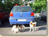 DSC01092.jpg