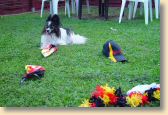 DSC01108.jpg