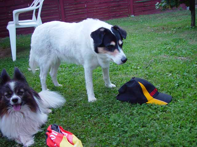 DSC01110.jpg