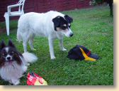 DSC01110.jpg