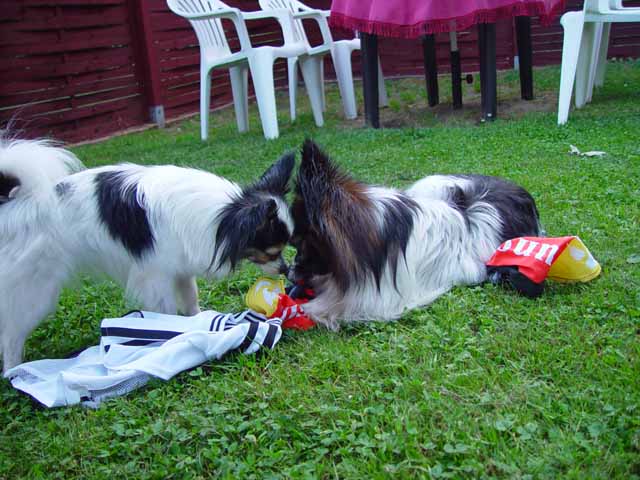 DSC01121.jpg
