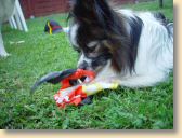 DSC01126.jpg
