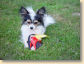 DSC01128.jpg