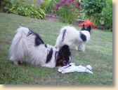 DSC01132.jpg
