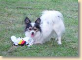 DSC01133.jpg