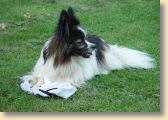 DSC01139.jpg