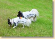 DSC00987.jpg