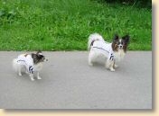DSC00994.jpg