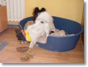 DSC01003.JPG